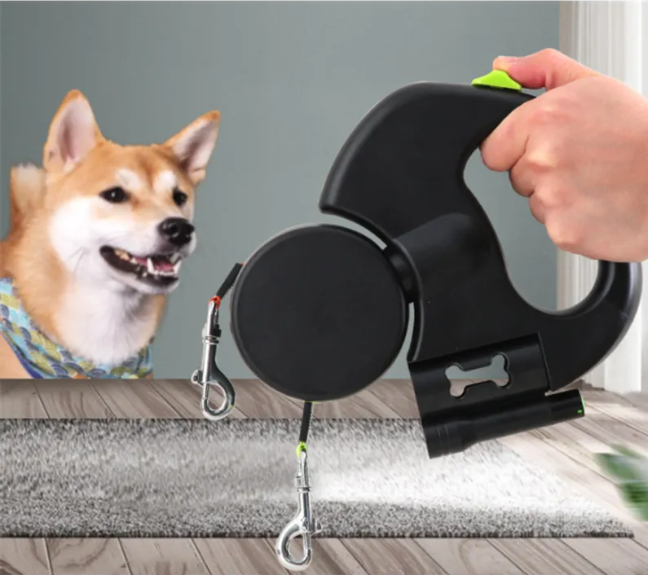 Laisse et kit de promenade pour chien