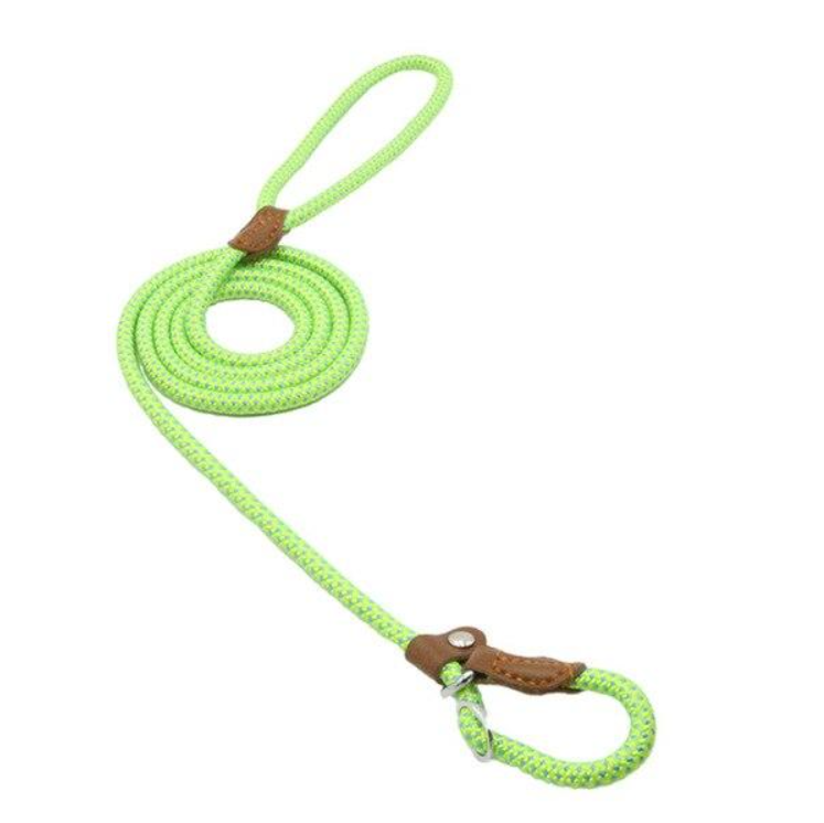 Nylon Canine Kit