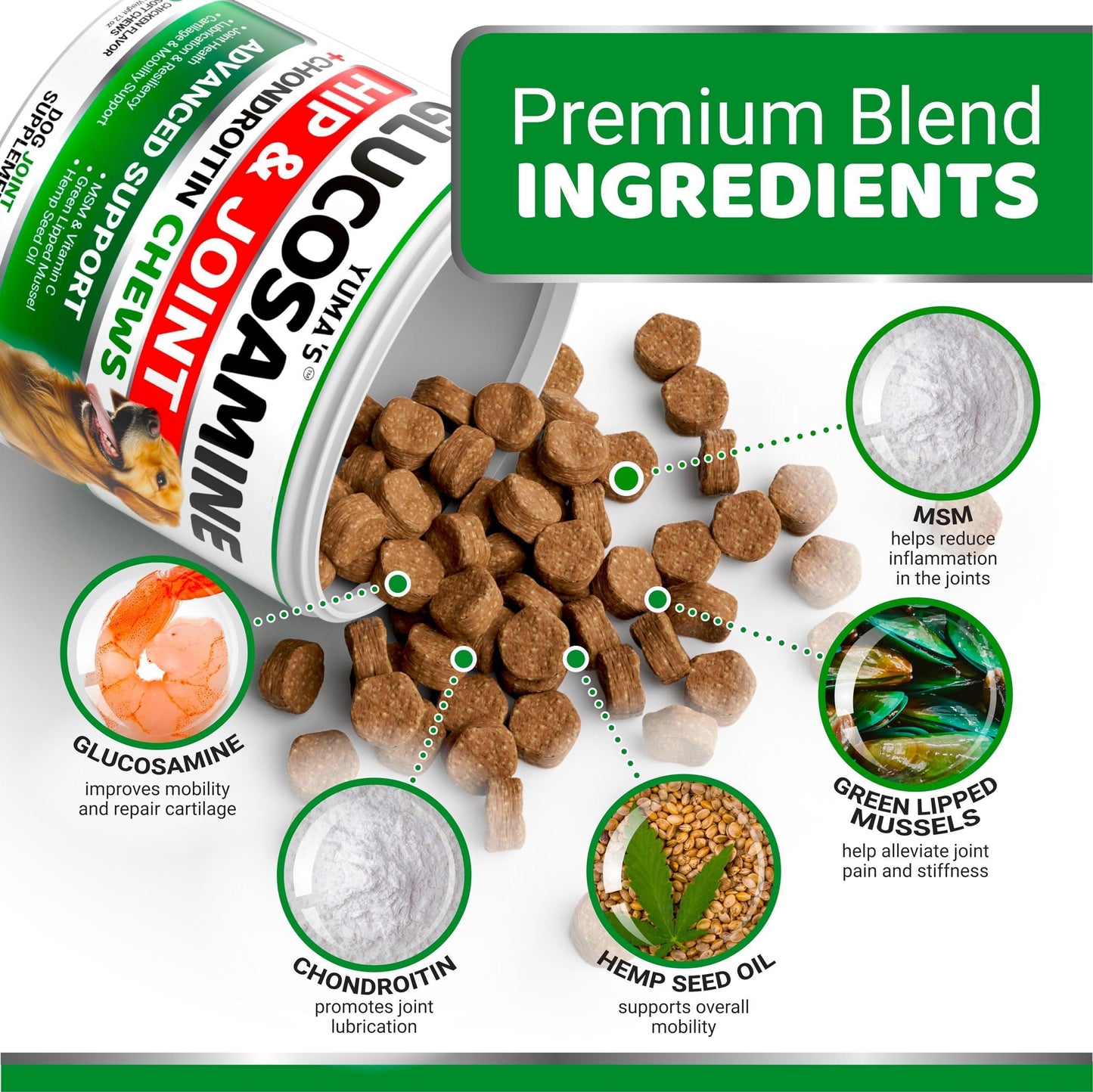 Glucosamine pour Chien - Hanches et Articulations, 170 Morçeaux
