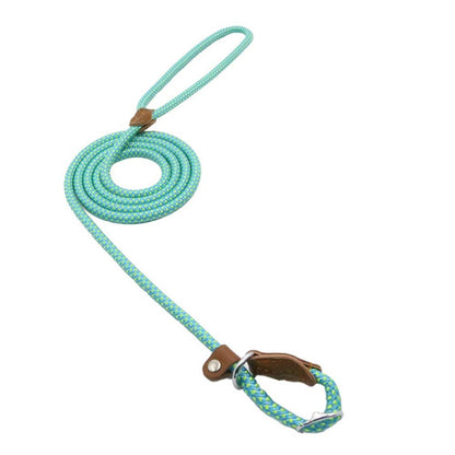 Nylon Canine Kit