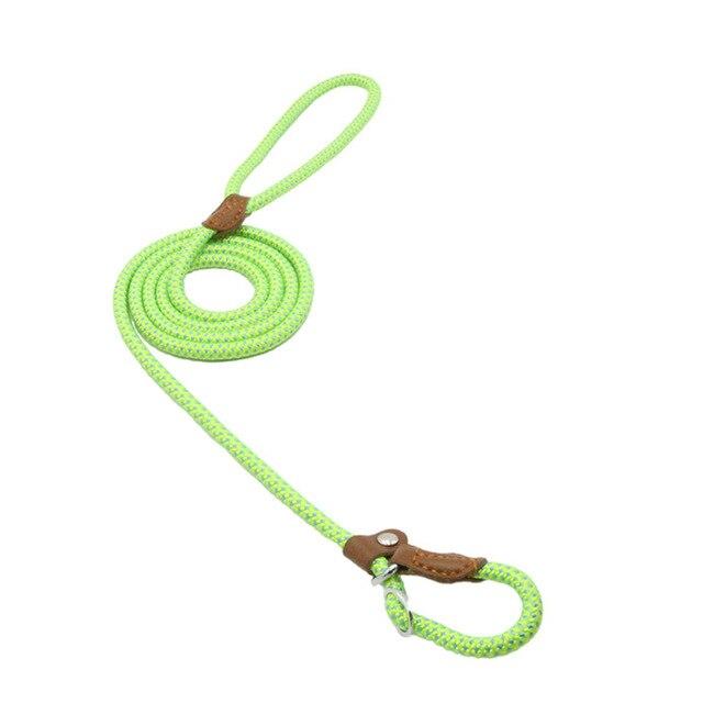 Nylon Canine Kit