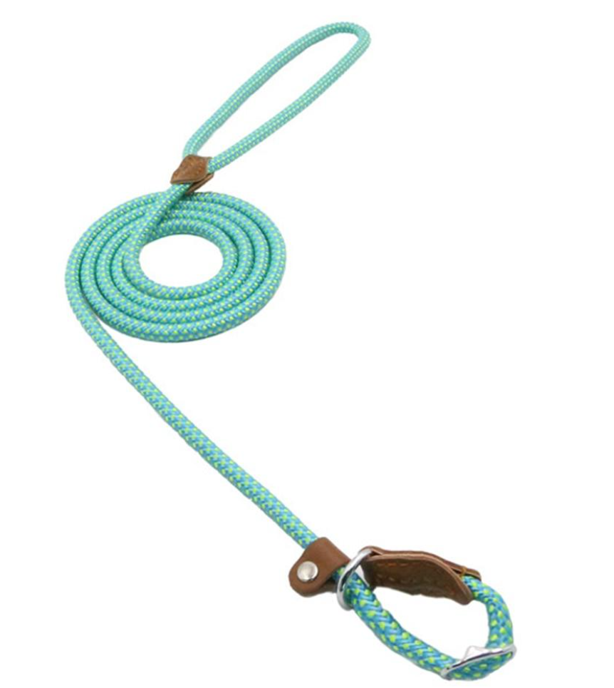 Nylon Canine Kit
