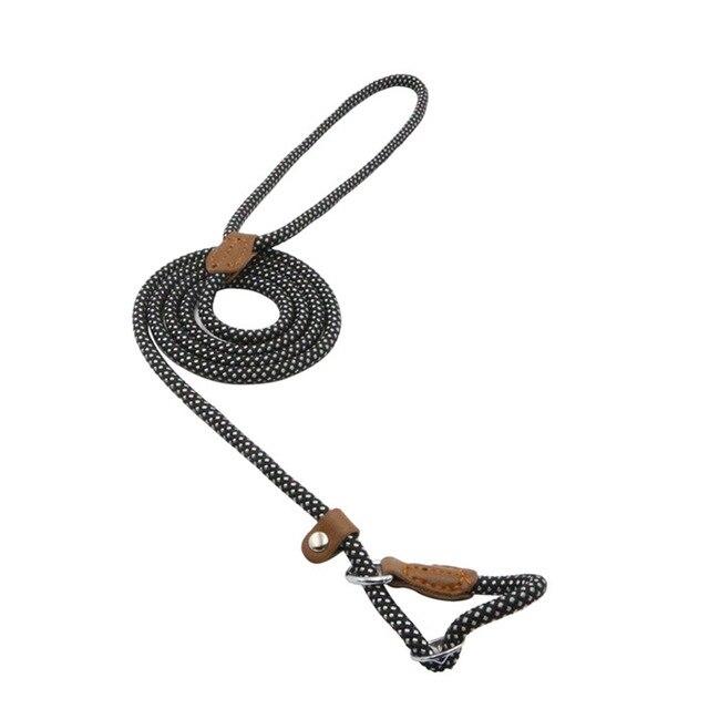Nylon Canine Kit