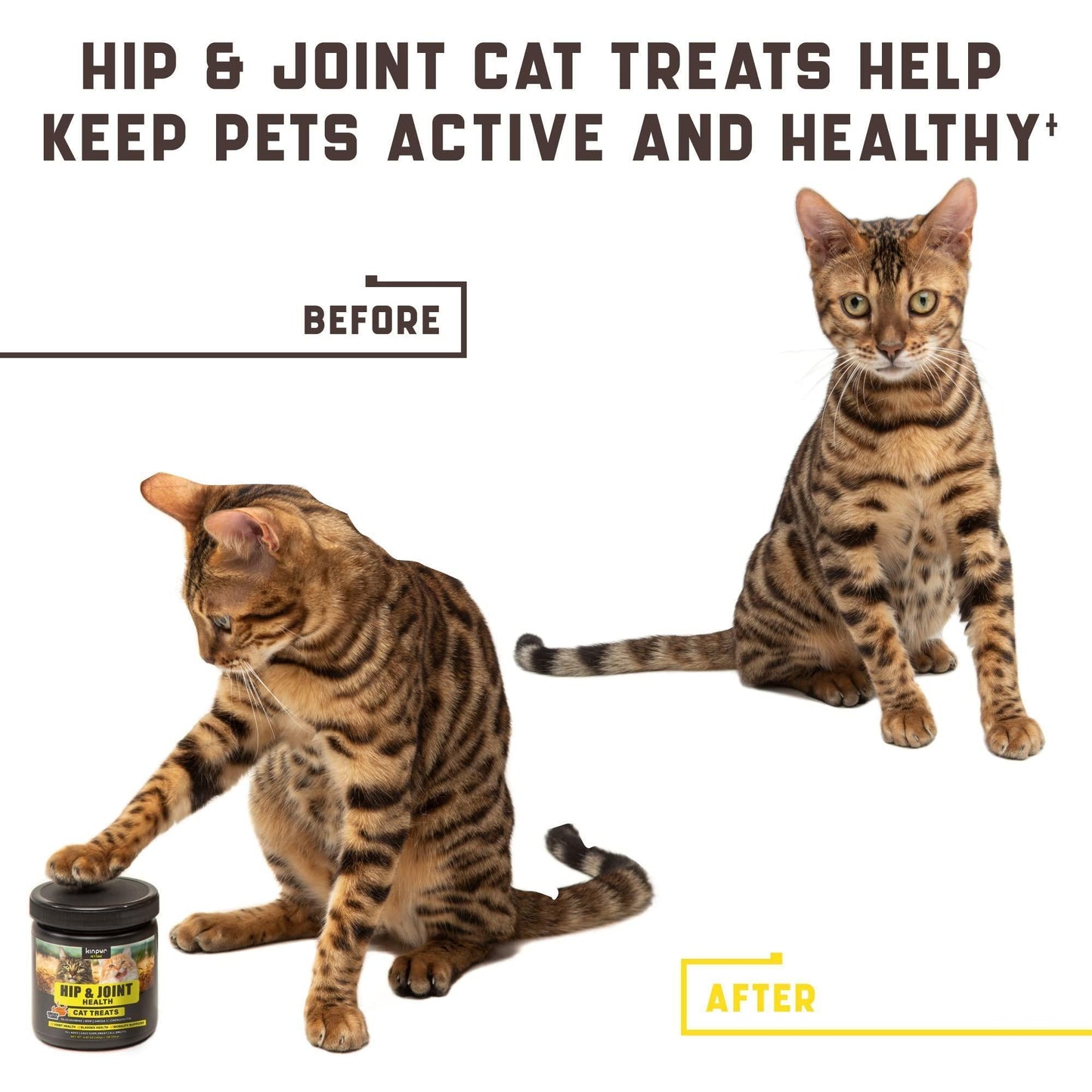 Glucosamine Naturelle pour Chat - Supplément Articulaire