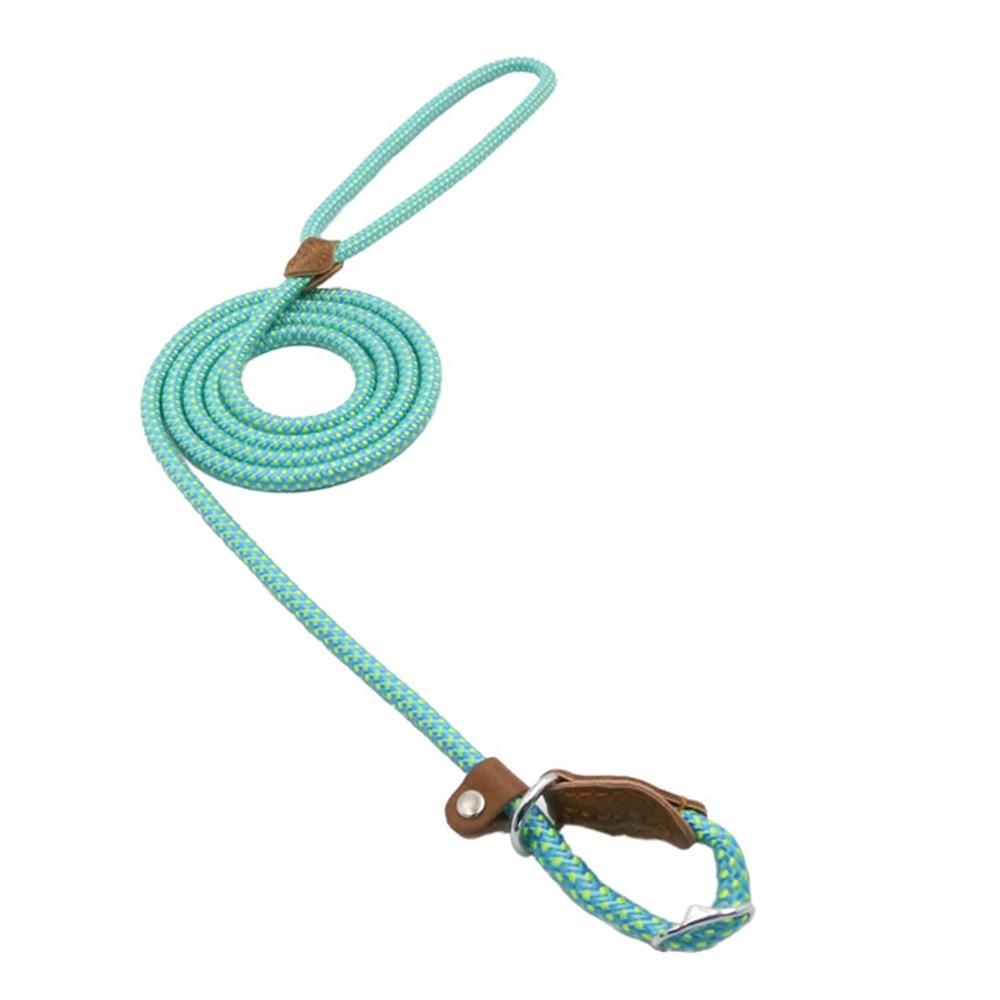 Nylon Canine Kit