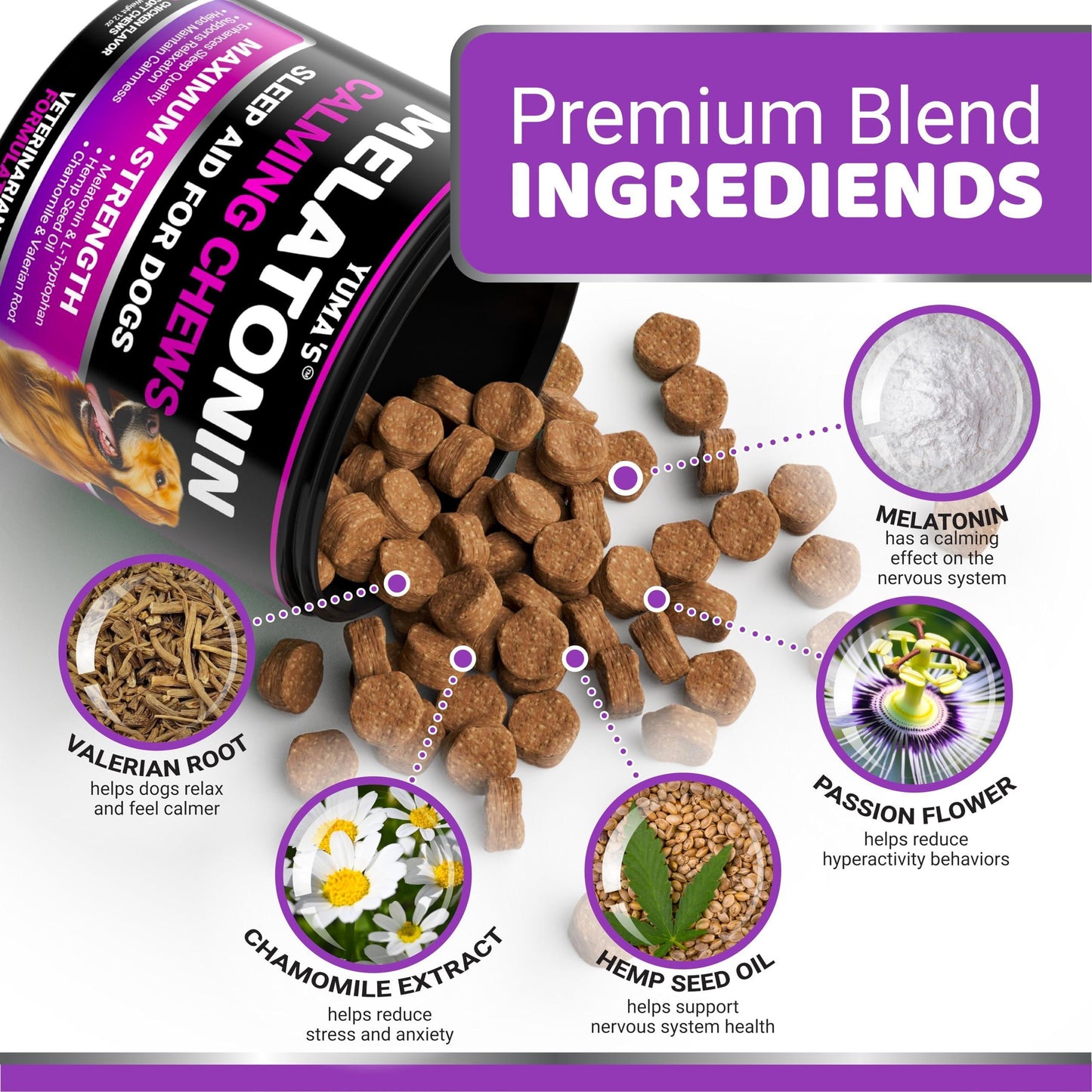 Gâteries Calmantes à la Mélatonine pour Chien - Anti-Stress, 170 Morçeaux