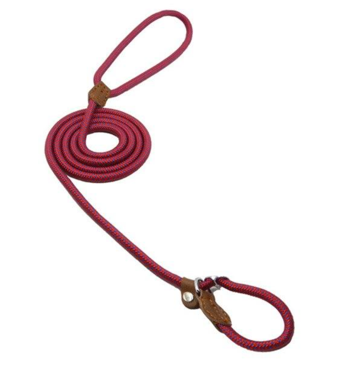 Nylon Canine Kit