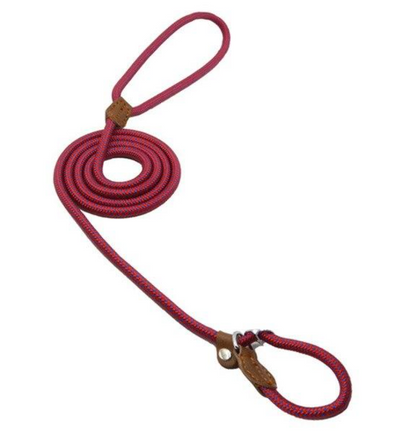 Nylon Canine Kit