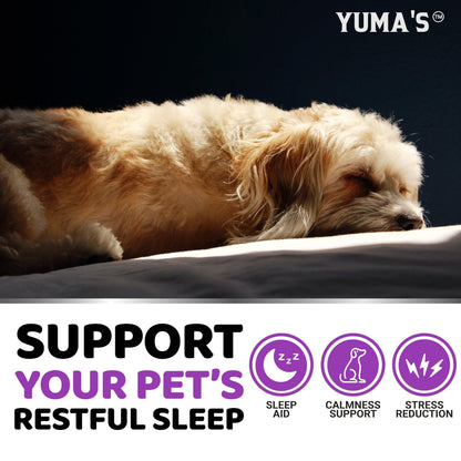 Gâteries Calmantes à la Mélatonine pour Chien - Anti-Stress, 170 Morçeaux