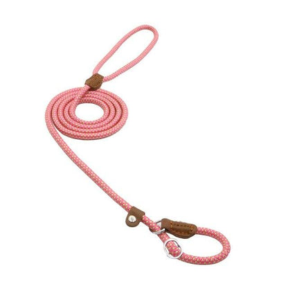 Nylon Canine Kit