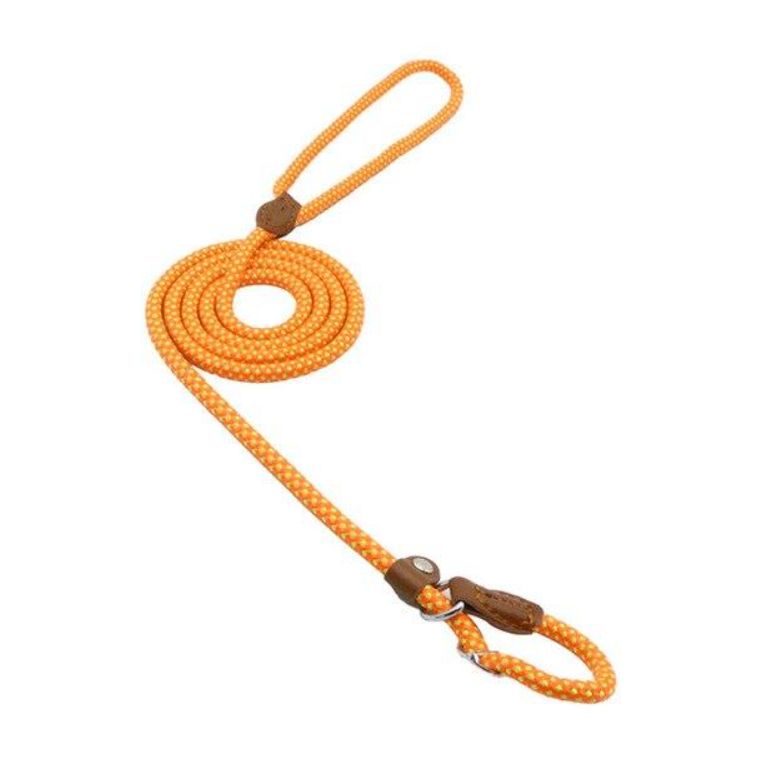 Nylon Canine Kit