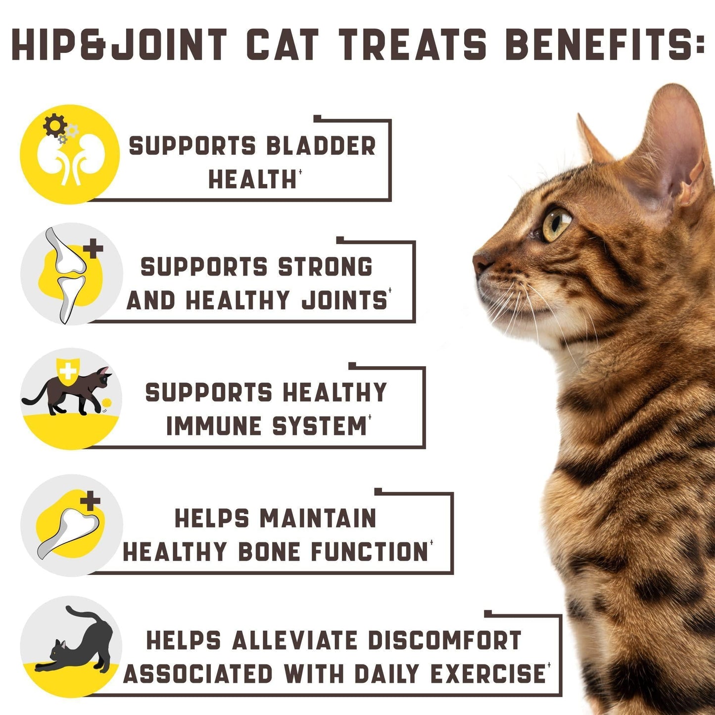 Glucosamine Naturelle pour Chat - Supplément Articulaire