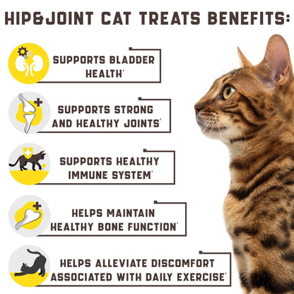 Glucosamine Naturelle pour Chat - Supplément Articulaire