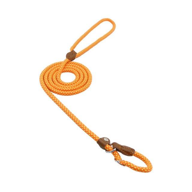 Nylon Canine Kit
